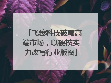飞骧科技破局高端市场，以硬核实力改写行业版图