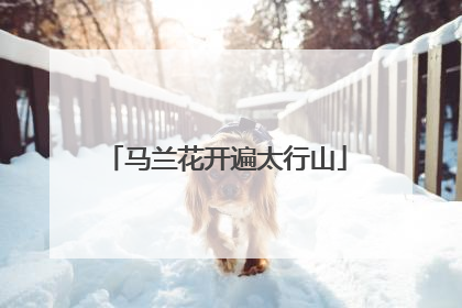 马兰花开遍太行山