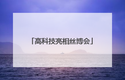 高科技亮相丝博会