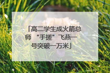 高二学生成火箭总师 “手搓”飞燕一号突破一万米