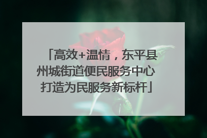 高效+温情，东平县州城街道便民服务中心打造为民服务新标杆
