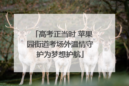 高考正当时 苹果园街道考场外温情守护为梦想护航