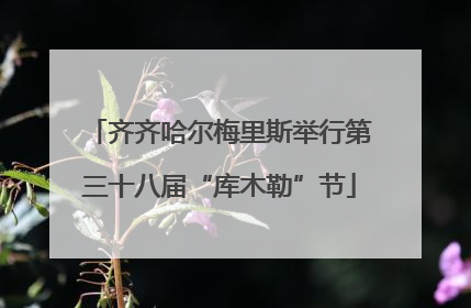 齐齐哈尔梅里斯举行第三十八届“库木勒”节