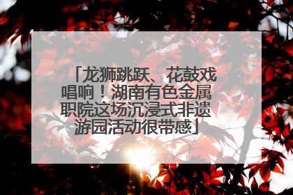 龙狮跳跃、花鼓戏唱响！湖南有色金属职院这场沉浸式非遗游园活动很带感