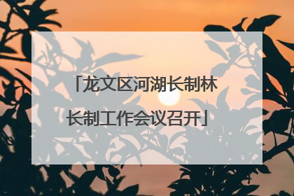 龙文区河湖长制林长制工作会议召开