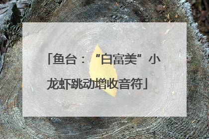 鱼台：“白富美”小龙虾跳动增收音符