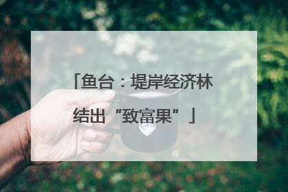 鱼台：堤岸经济林结出“致富果”