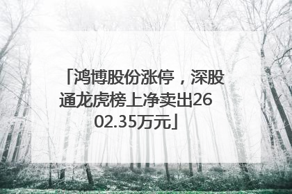 鸿博股份涨停，深股通龙虎榜上净卖出2602.35万元