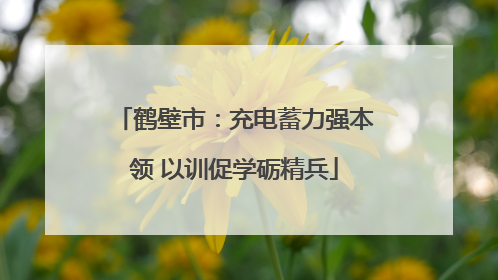 鹤壁市：充电蓄力强本领 以训促学砺精兵