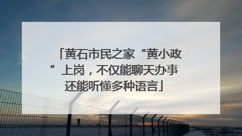 黄石市民之家“黄小政”上岗，不仅能聊天办事还能听懂多种语言