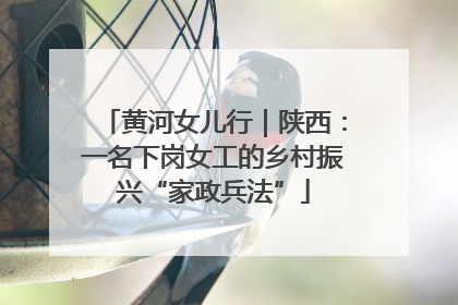 黄河女儿行｜陕西：一名下岗女工的乡村振兴“家政兵法”