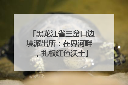 黑龙江省三岔口边境派出所：在界河畔，扎根红色沃土
