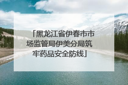 黑龙江省伊春市市场监管局伊美分局筑牢药品安全防线