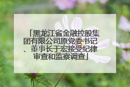 黑龙江省金融控股集团有限公司原党委书记、董事长于宏接受纪律审查和监察调查