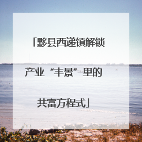 黟县西递镇解锁产业“丰景”里的共富方程式