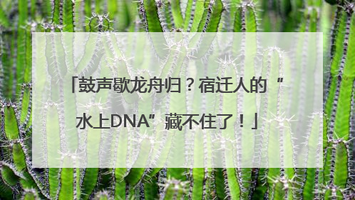 鼓声歇龙舟归？宿迁人的“水上DNA”藏不住了！