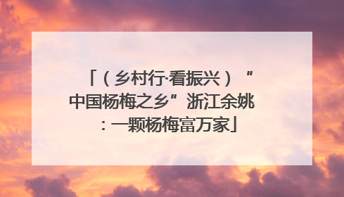 （乡村行·看振兴）“中国杨梅之乡”浙江余姚：一颗杨梅富万家