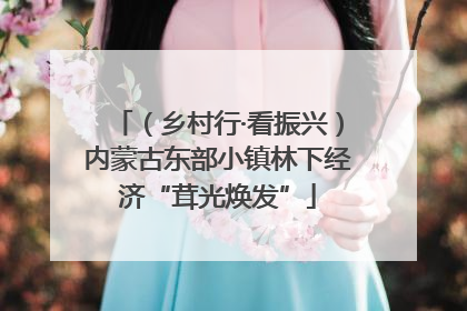 （乡村行·看振兴）内蒙古东部小镇林下经济“茸光焕发”