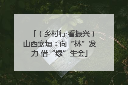 （乡村行·看振兴）山西襄垣：向“林”发力 借“绿”生金
