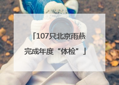 107只北京雨燕完成年度“体检”