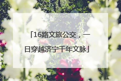 16路文旅公交，一日穿越济宁千年文脉