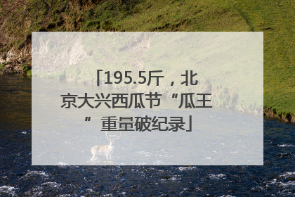195.5斤，北京大兴西瓜节“瓜王”重量破纪录