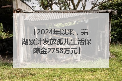 2024年以来，芜湖累计发放孤儿生活保障金2758万元