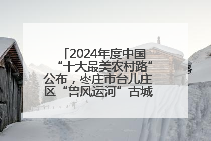 2024年度中国“十大最美农村路”公布，枣庄市台儿庄区“鲁风运河”古城文化廊道上榜！