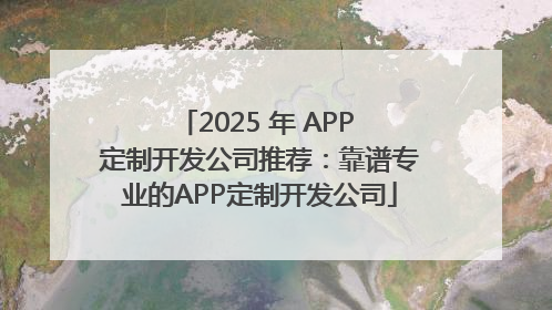 2025 年 APP 定制开发公司推荐：靠谱专业的APP定制开发公司