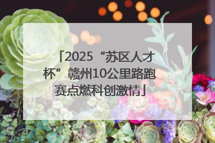 2025“苏区人才杯”赣州10公里路跑赛点燃科创激情