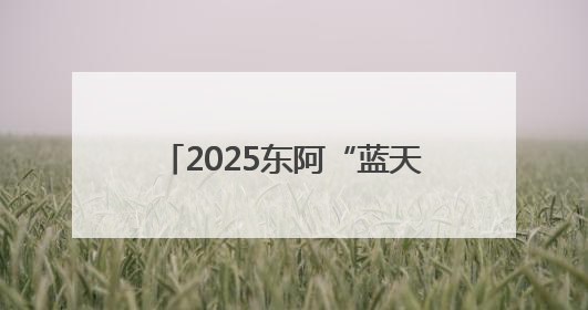 2025东阿“蓝天七色”乡村振兴职工黄河微马激情开跑