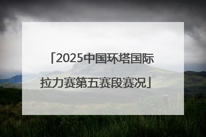 2025中国环塔国际拉力赛第五赛段赛况