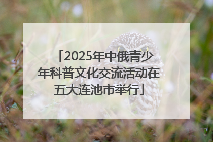 2025年中俄青少年科普文化交流活动在五大连池市举行