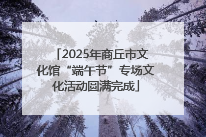 2025年商丘市文化馆“端午节”专场文化活动圆满完成