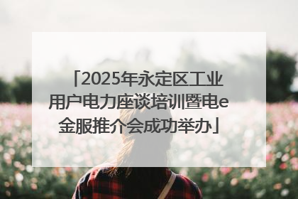 2025年永定区工业用户电力座谈培训暨电e金服推介会成功举办