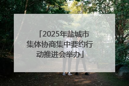 2025年盐城市集体协商集中要约行动推进会举办