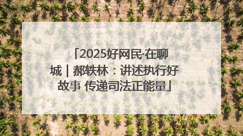 2025好网民·在聊城｜郝轶林：讲述执行好故事 传递司法正能量