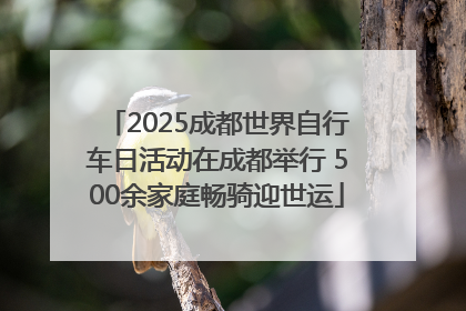 2025成都世界自行车日活动在成都举行 500余家庭畅骑迎世运