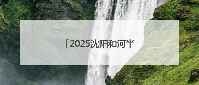 2025沈阳和河半程马拉松激情开跑