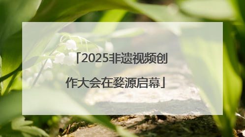 2025非遗视频创作大会在婺源启幕