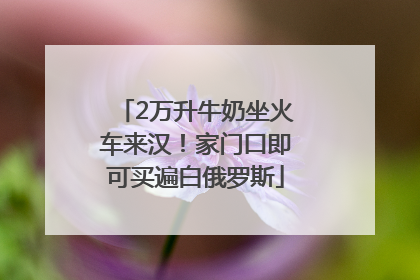 2万升牛奶坐火车来汉！家门口即可买遍白俄罗斯