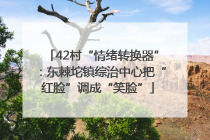 42村“情绪转换器”：东棘坨镇综治中心把“红脸”调成“笑脸”