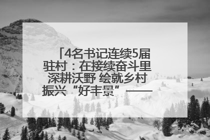 4名书记连续5届驻村：在接续奋斗里深耕沃野 绘就乡村振兴“好丰景”——浦发银行南京分行助力脱贫攻坚、帮促乡村振兴记事（二）