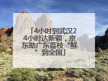 4小时到武汉24小时达新疆，京东助广东荔枝“鲜”到全国