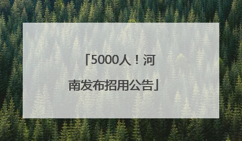 5000人！河南发布招用公告