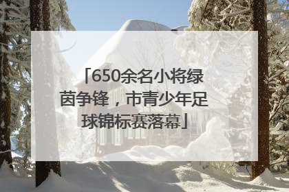 650余名小将绿茵争锋，市青少年足球锦标赛落幕