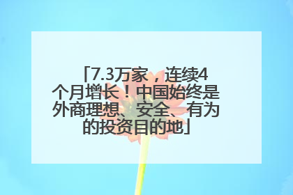 7.3万家，连续4个月增长！中国始终是外商理想、安全、有为的投资目的地