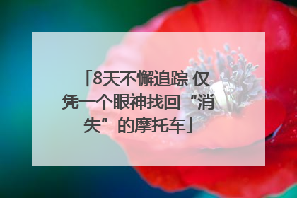 8天不懈追踪 仅凭一个眼神找回“消失”的摩托车