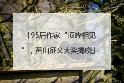 95后作家“顶峰相见”，黄山征文大奖揭晓