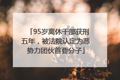 95岁离休干部获刑五年，被法院认定为恶势力团伙首要分子
